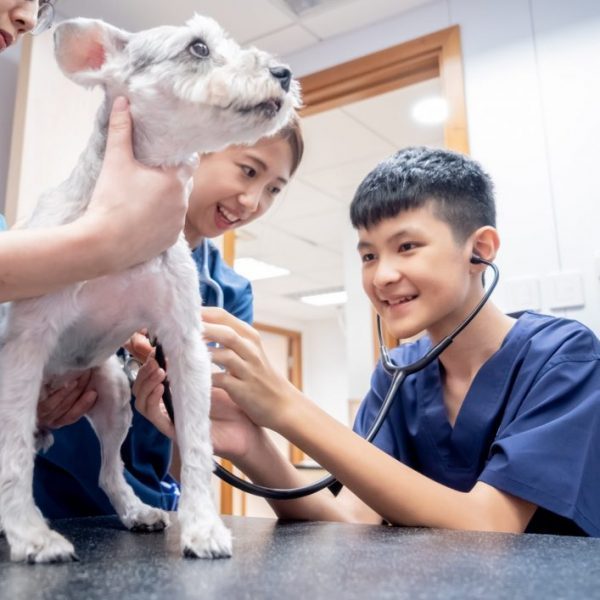 “I Wish To Be A Veterinarian!” - Make A Wish Hong Kong