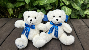 corporate-partnerships_wishbear